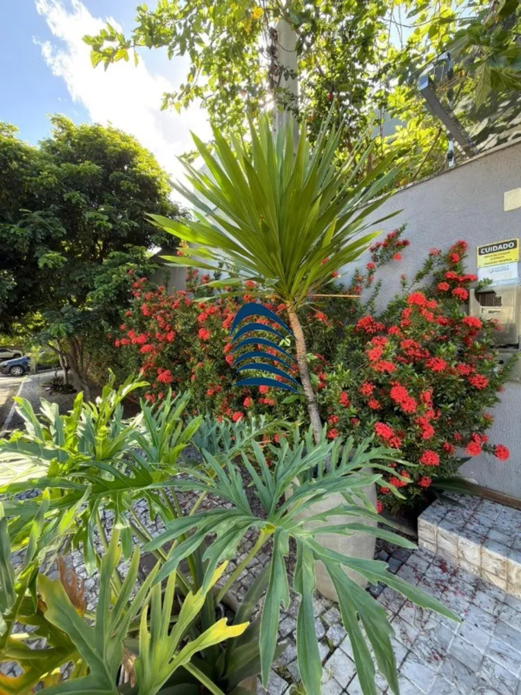 Casa, 4 quartos, 330 m² - Foto 10