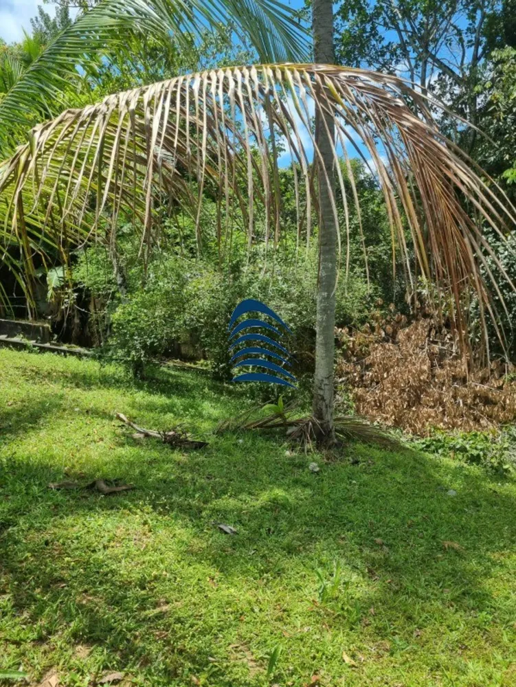 Terreno, 4 hectares - Foto 2