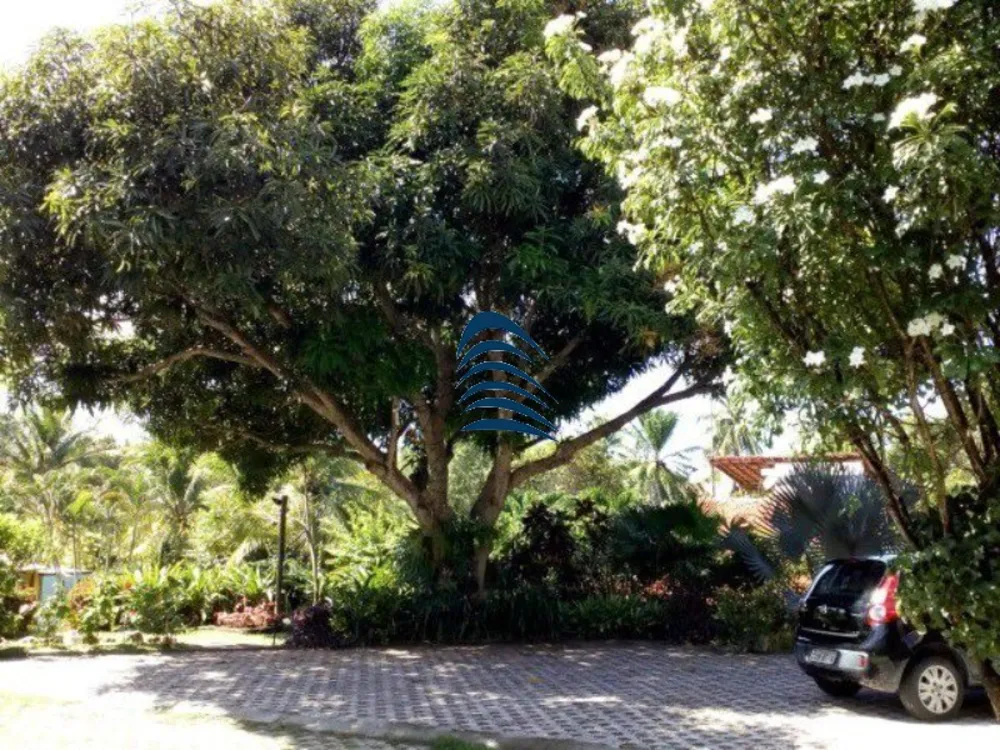 Casa, 4 quartos, 340 m² - Foto 16