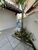 Apartamento, 4 quartos, 270 m² - Foto 2