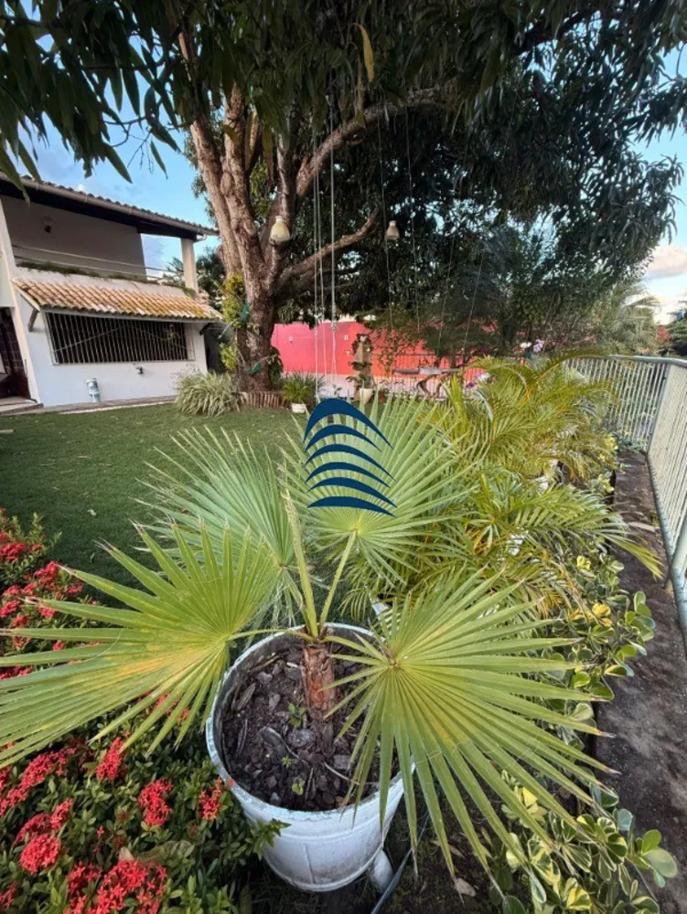 Casa, 5 quartos, 600 m² - Foto 5