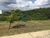 Terreno, 547 m² - Foto 6