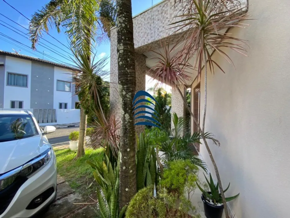 Casa, 4 quartos, 340 m² - Foto 6