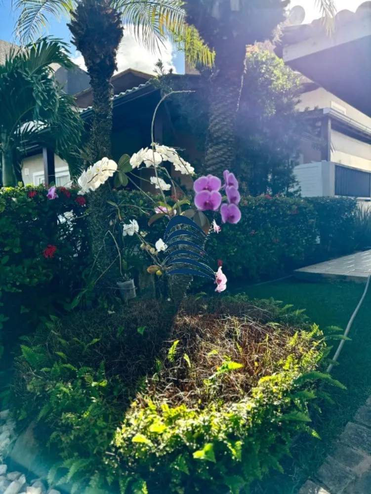 Casa, 4 quartos, 180 m² - Foto 12