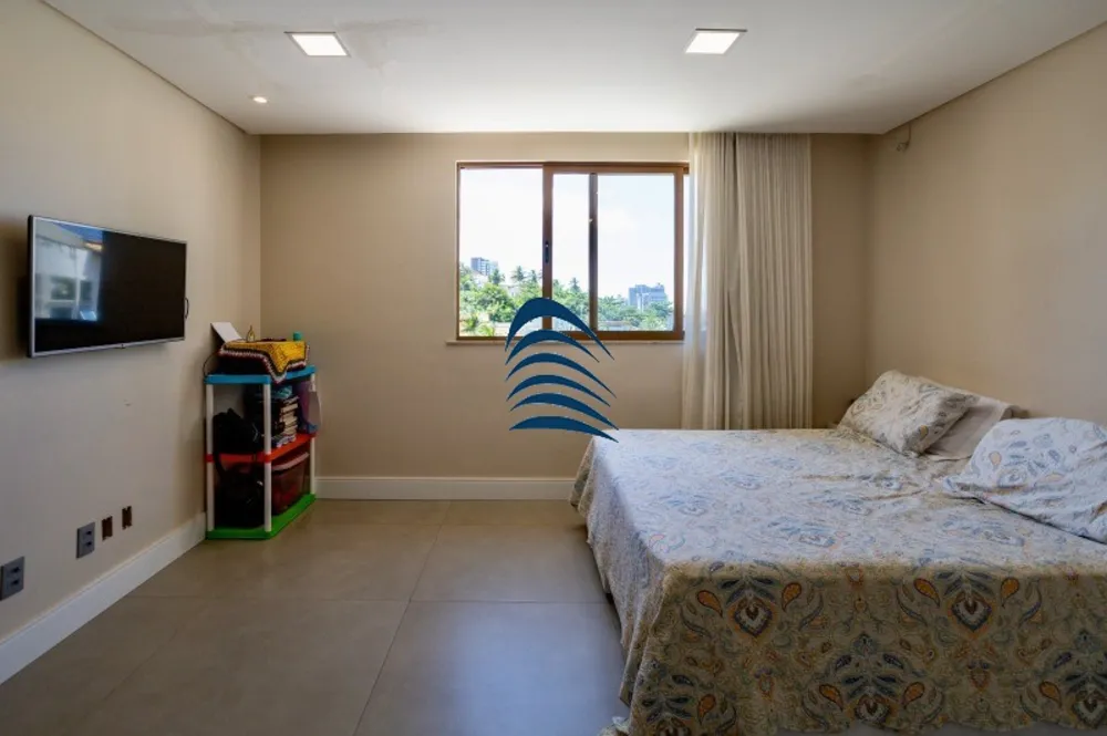 Casa, 4 quartos, 380 m² - Foto 13
