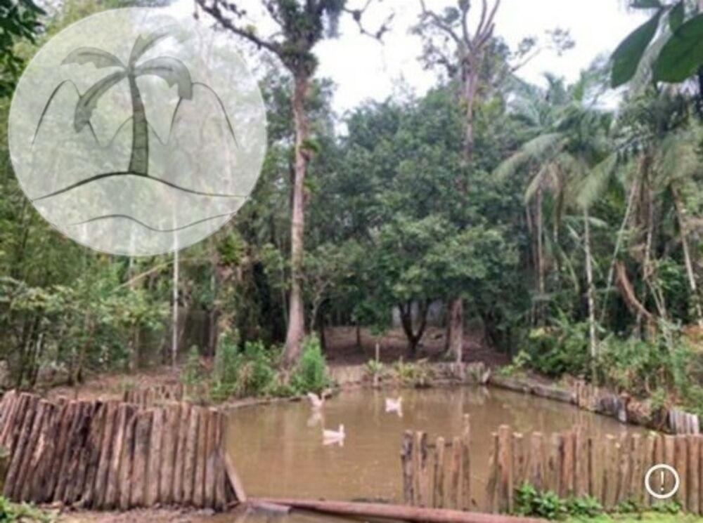 Sítio, 4 quartos - Foto 7