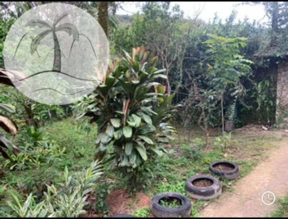 Sítio, 4 quartos - Foto 3