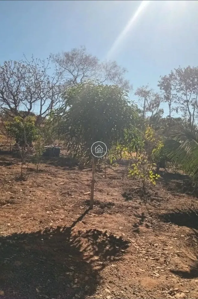 Chácara, 2 quartos, 1500 m² - Foto 10