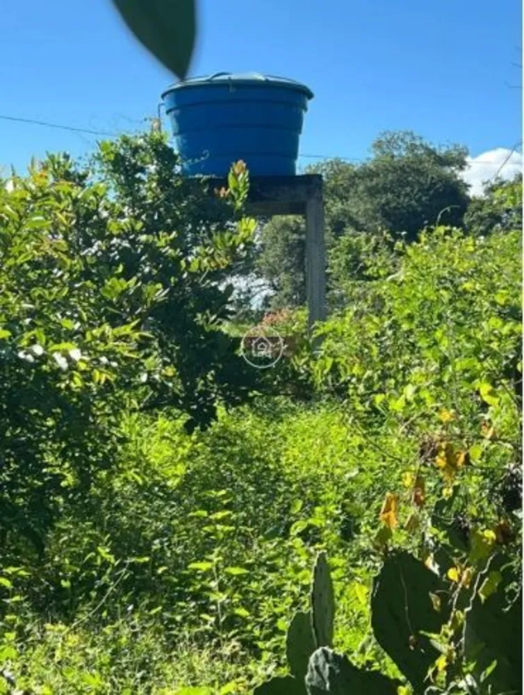 Sítio, 2 quartos, 12 hectares - Foto 7