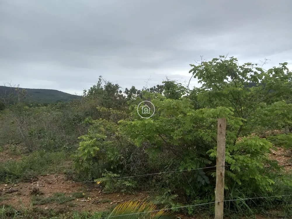 Fazenda, 58 hectares - Foto 1