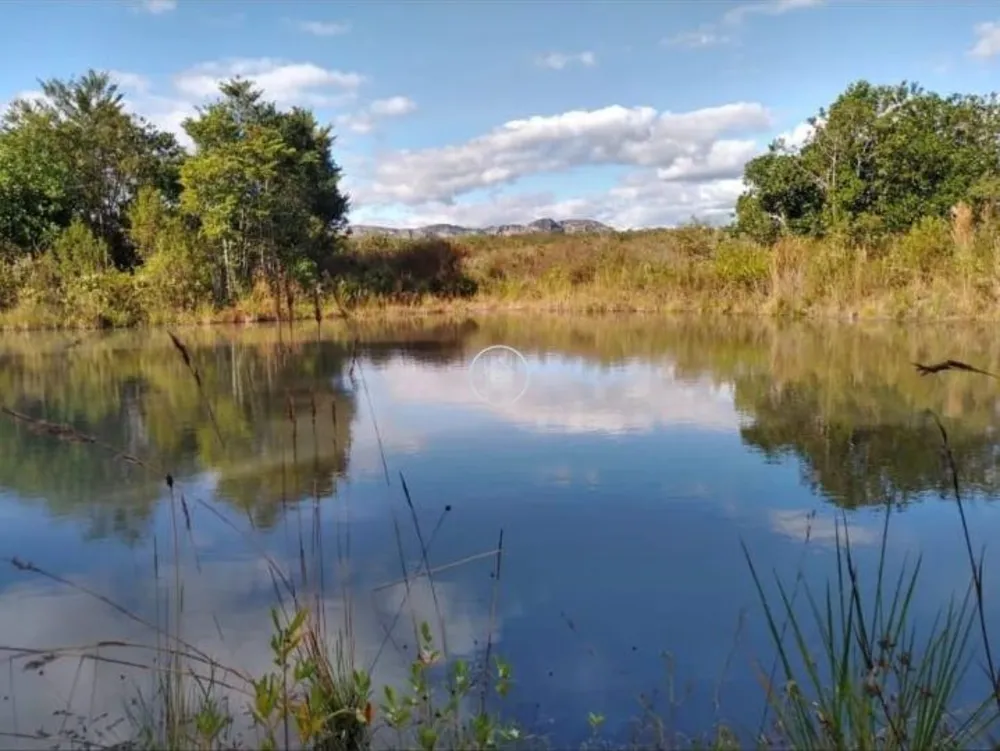 Fazenda, 497 hectares - Foto 13