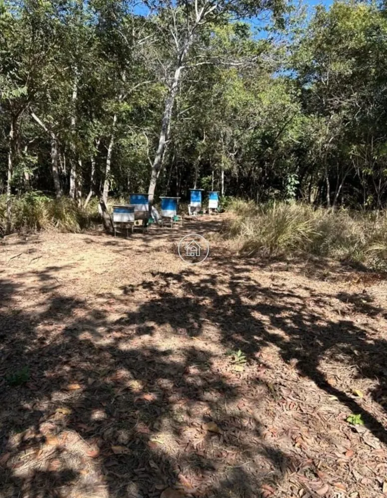 Sítio, 3 quartos, 3 hectares - Foto 3