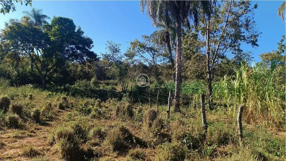Sítio, 2 quartos, 19 hectares - Foto 4