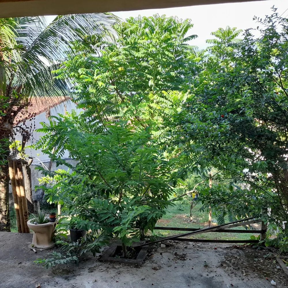Casa, 2 quartos, 174 m² - Foto 9