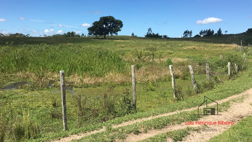 Fazenda, 52 hectares - Foto 33