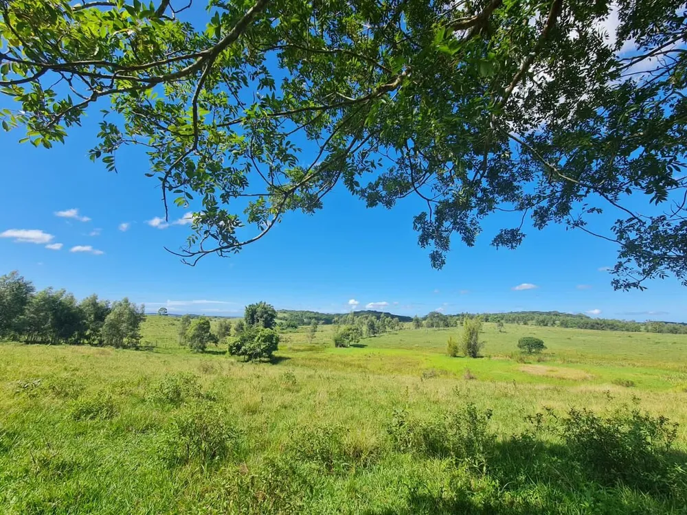 Fazenda, 52 hectares - Foto 40