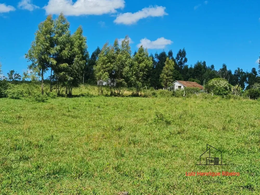 Fazenda, 52 hectares - Foto 89
