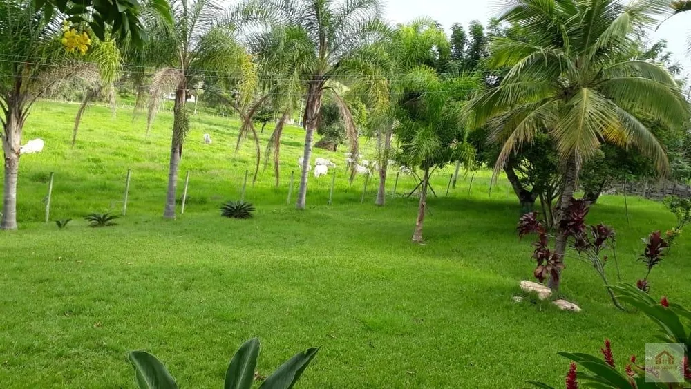 Terreno, 8 hectares - Foto 2