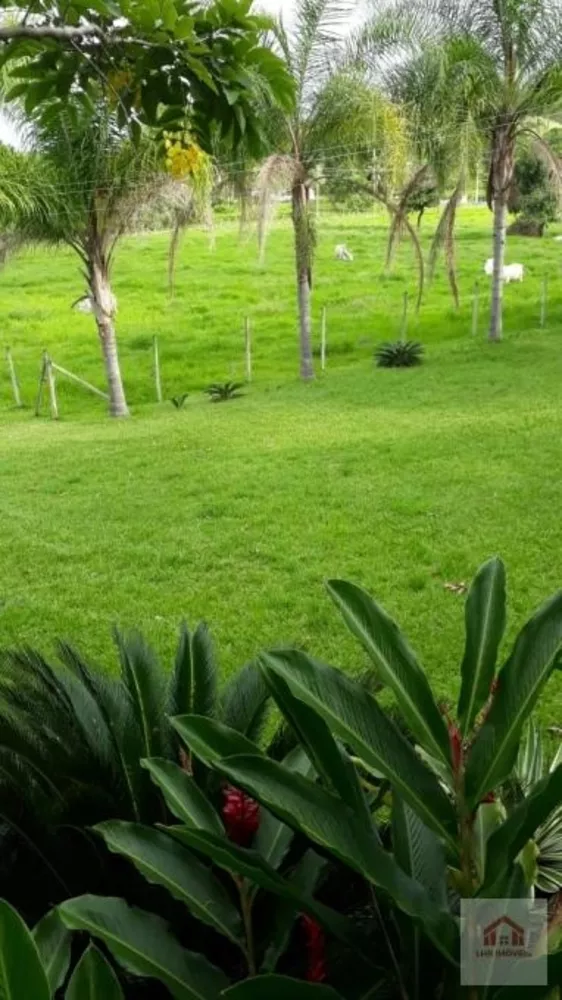 Terreno, 8 hectares - Foto 4