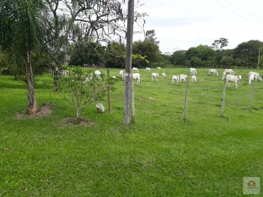 Terreno, 8 hectares - Foto 3