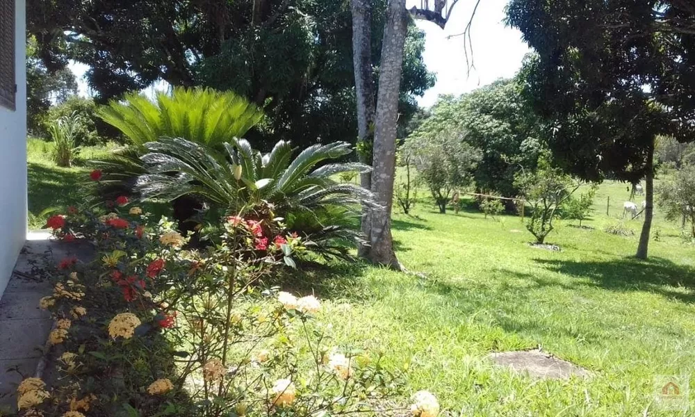 Terreno, 8 hectares - Foto 1
