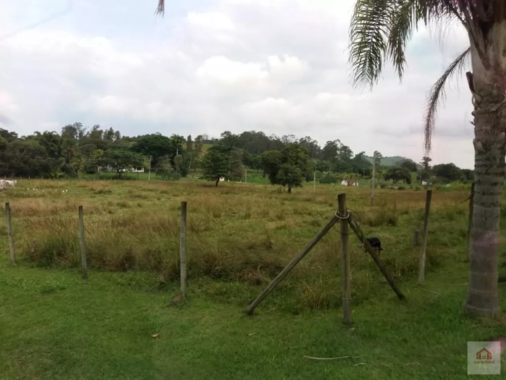 Terreno, 8 hectares - Foto 7