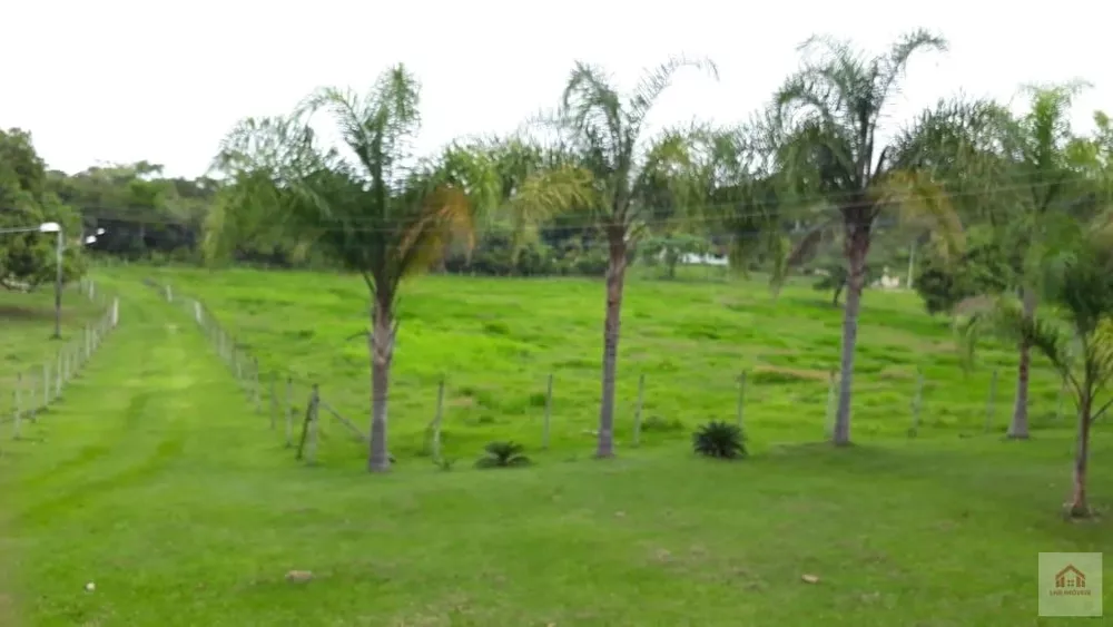 Terreno, 8 hectares - Foto 6