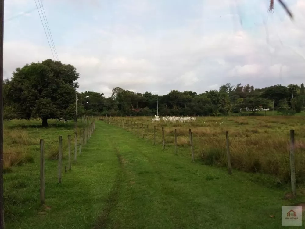 Terreno, 8 hectares - Foto 10