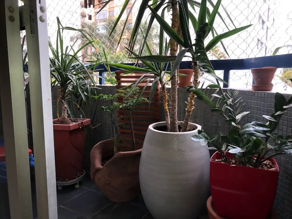 Apartamento, 2 quartos, 78 m² - Foto 12