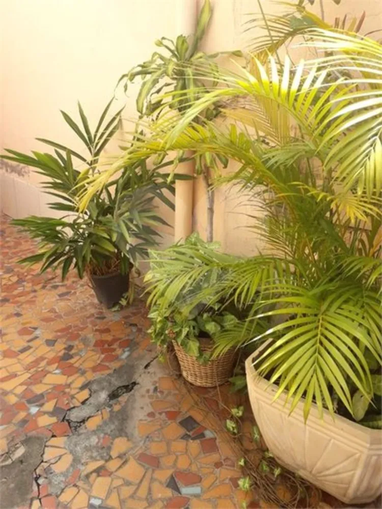Casa, 1 quarto, 40 m² - Foto 19