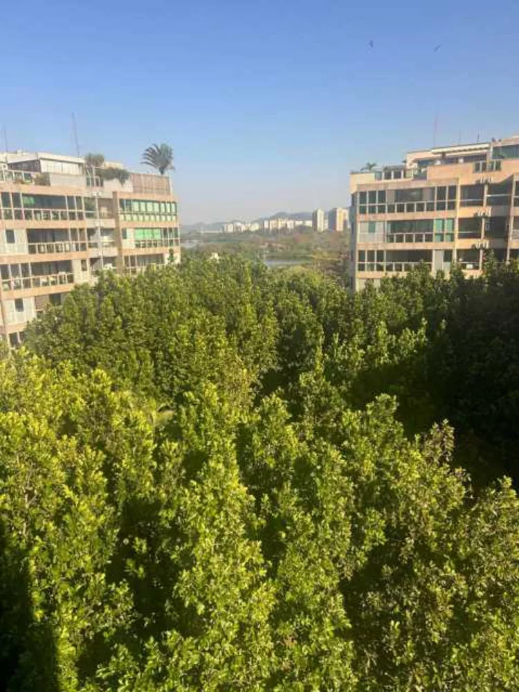 Apartamento, 3 quartos, 180 m² - Foto 2