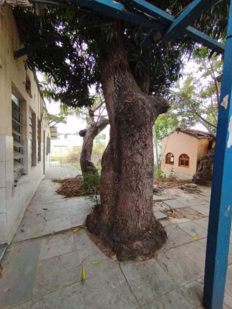 Casa, 2 quartos, 537 m² - Foto 22