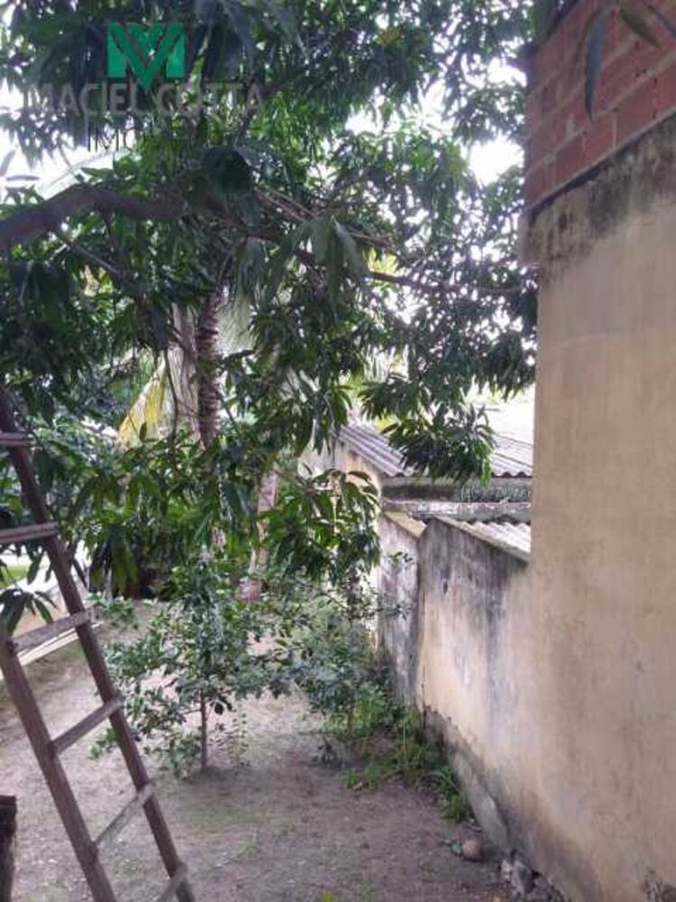 Casa, 3 quartos, 200 m² - Foto 11