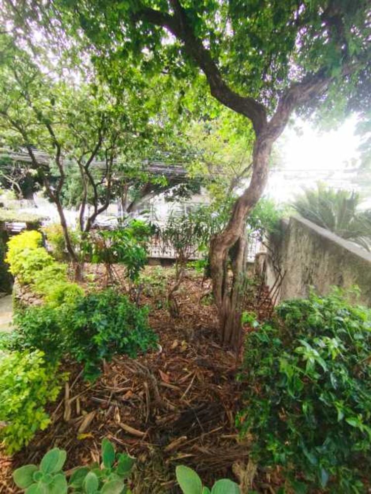 Casa à venda com 5 quartos, 264m² - Foto 6