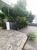 Casa, 5 quartos, 264 m² - Foto 1