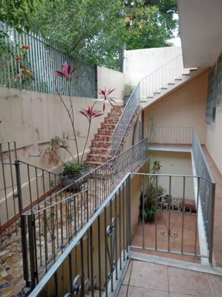 Casa, 3 quartos, 246 m² - Foto 6