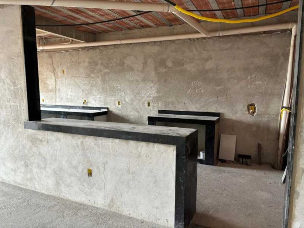 Casa, 4 quartos, 330 m² - Foto 21