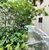 Casa, 3 quartos, 367 m² - Foto 7