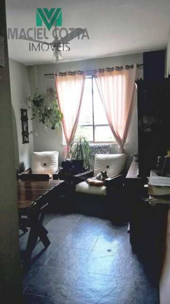 Apartamento, 3 quartos, 55 m² - Foto 3
