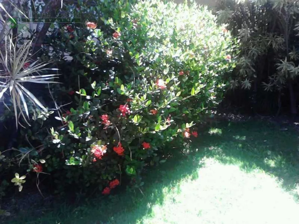 Casa, 4 quartos, 400 m² - Foto 15