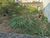 Terreno, 125 m² - Foto 1
