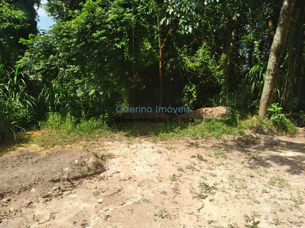 Terreno - Foto 6