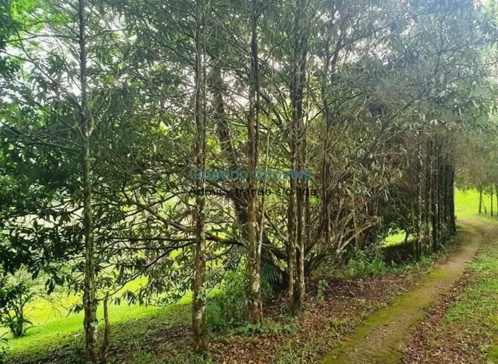 Chácara, 7 quartos, 700 m² - Foto 3