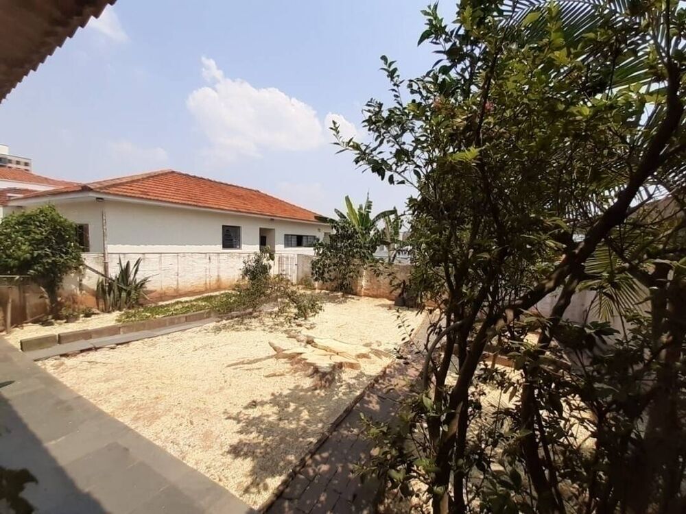 Terreno - Foto 1