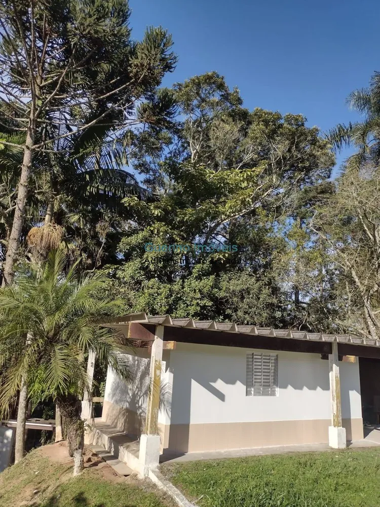 Terreno - Foto 3