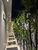 Casa, 1 quarto, 172 m² - Foto 12
