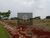 Terreno, 360 m² - Foto 5