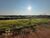 Terreno, 301 m² - Foto 2