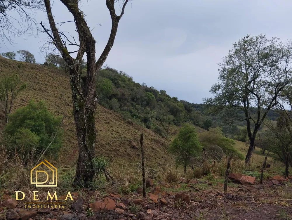 Fazenda - Foto 6