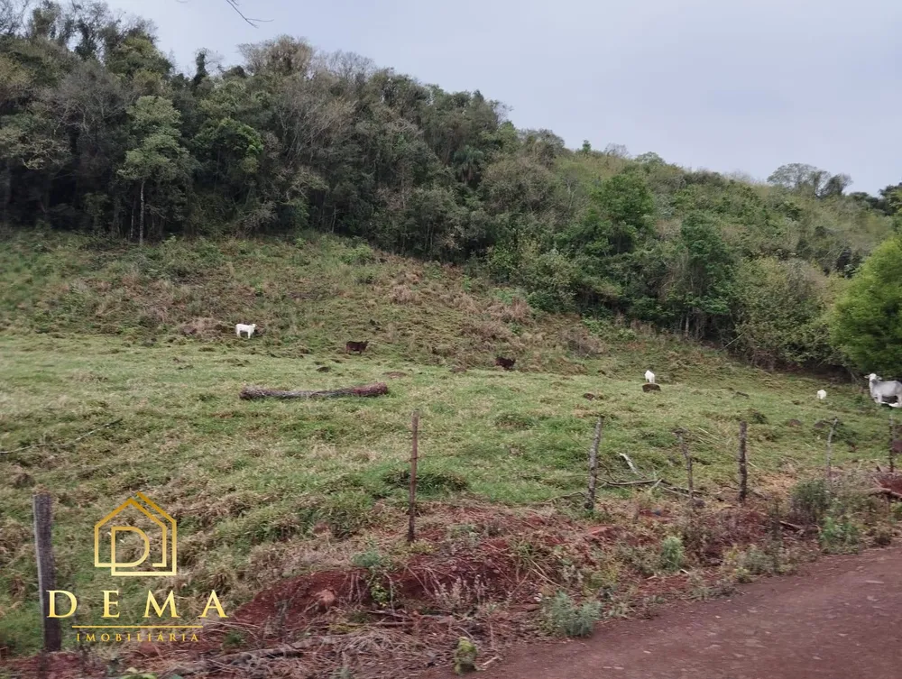 Fazenda - Foto 5